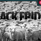 Illustration for article titled The Ultimate Cheat Sheet Preview Is Your Black-Friday-Cyber-Monday Deal of the Day